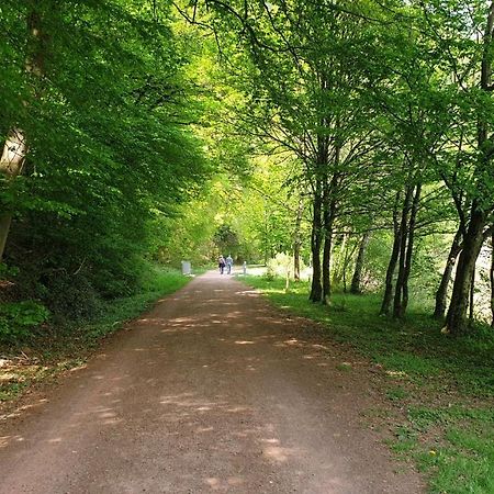 Ferienwohnung Am Saarweg แมร์ซิก ภายนอก รูปภาพ