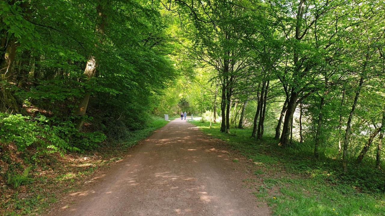 Ferienwohnung Am Saarweg แมร์ซิก ภายนอก รูปภาพ