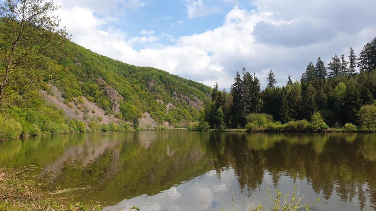 Ferienwohnung Am Saarweg แมร์ซิก ภายนอก รูปภาพ